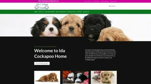 Screenshot of