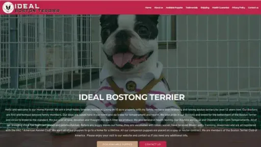 Screenshot of