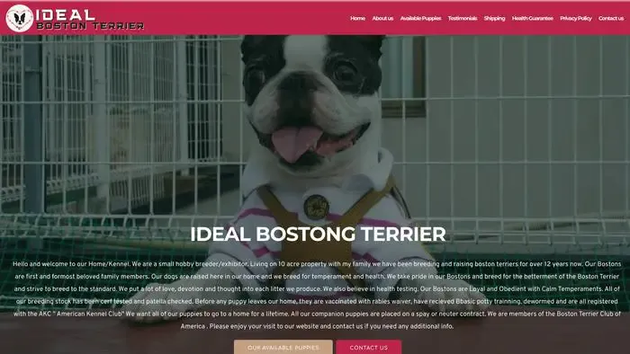 Screenshot of