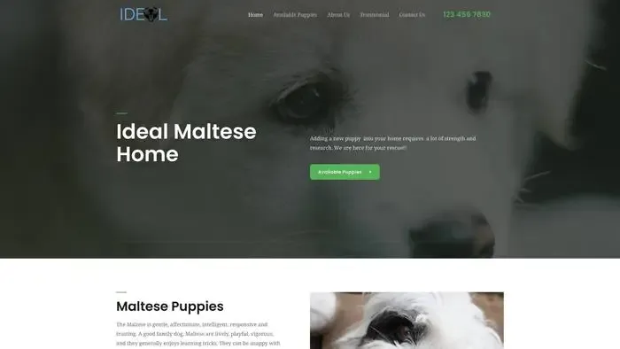 Screenshot of