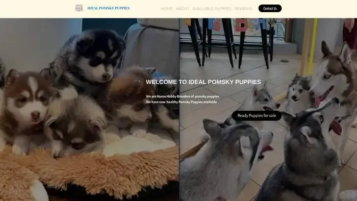 Screenshot of