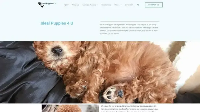 Screenshot of