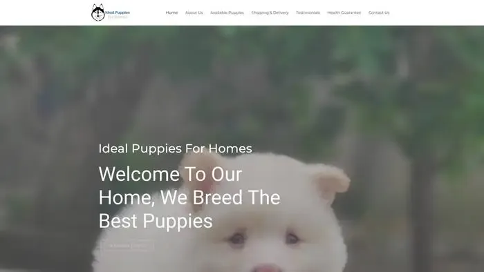 Screenshot of