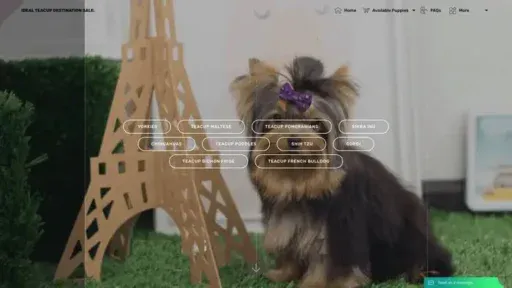 Screenshot of