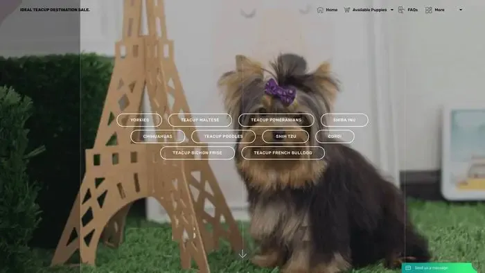 Screenshot of