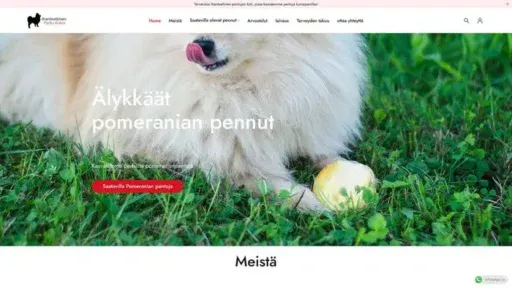 Screenshot of