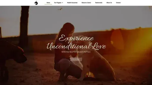 Screenshot of