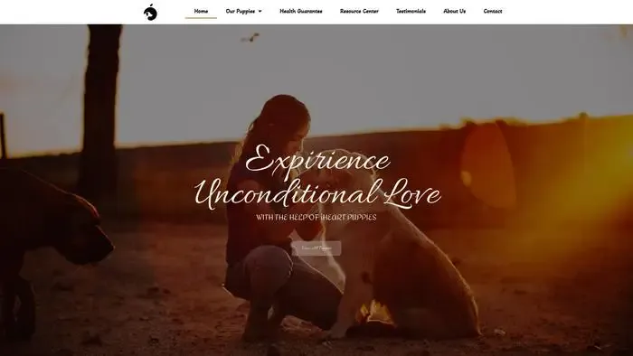 Screenshot of