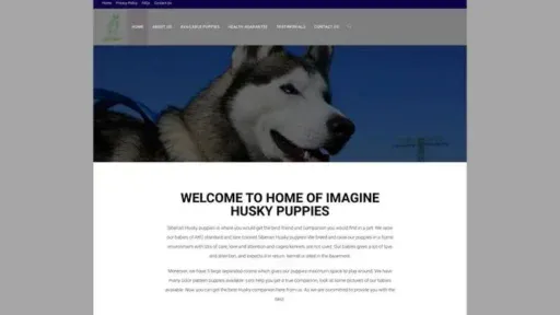 Screenshot of