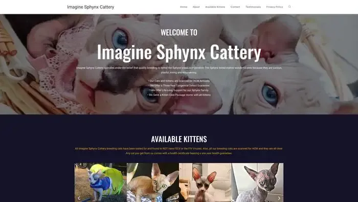 Screenshot of