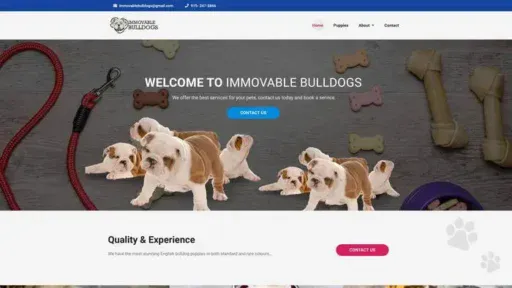 Screenshot of