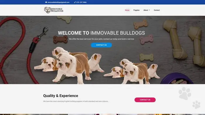 Screenshot of