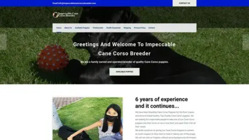 Screenshot of