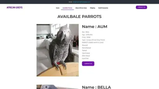 Screenshot of