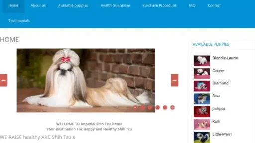 Screenshot of