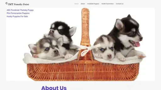 Screenshot of