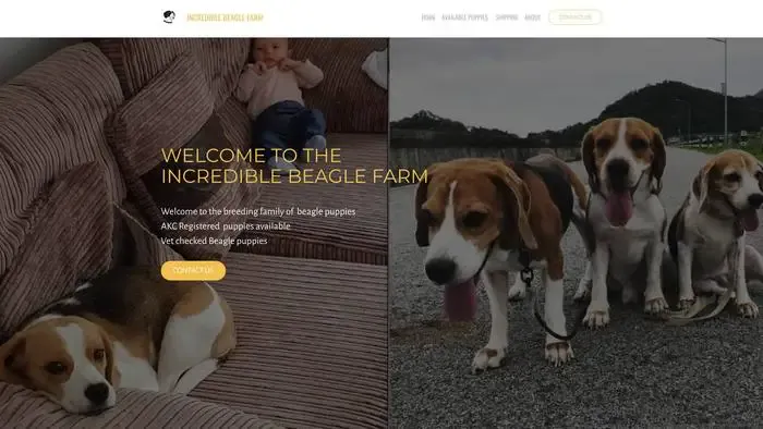 Screenshot of