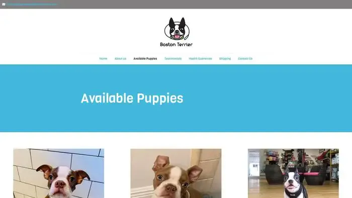 Screenshot of