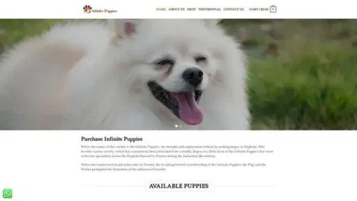 Screenshot of
