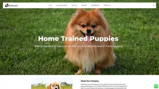 Screenshot of