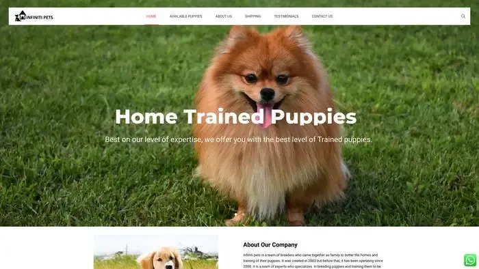 Screenshot of