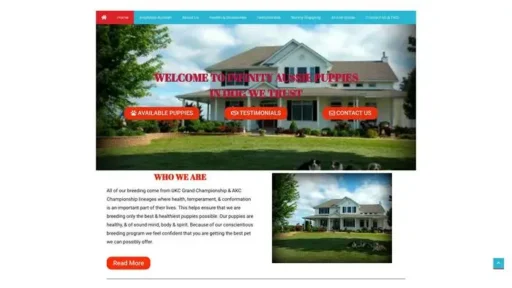 Screenshot of