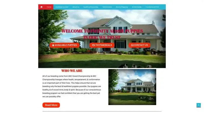 Screenshot of