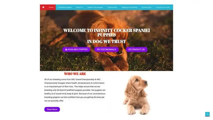 Screenshot of