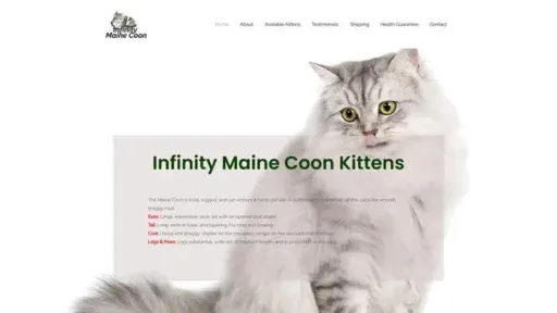 Screenshot of