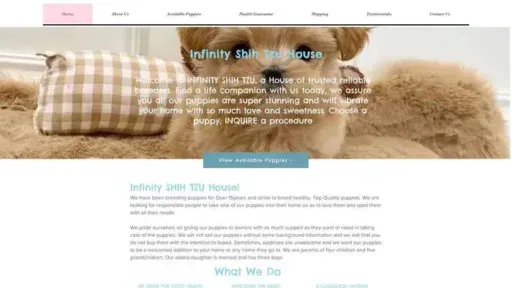 Screenshot of