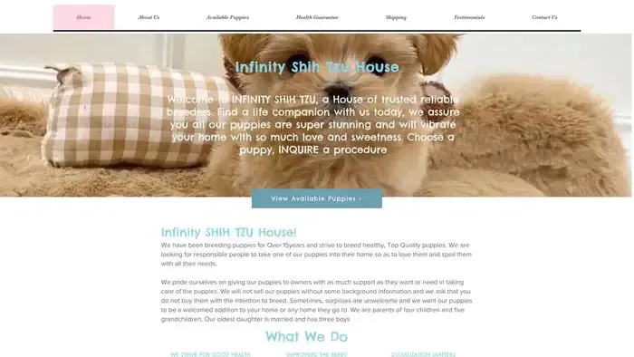 Screenshot of