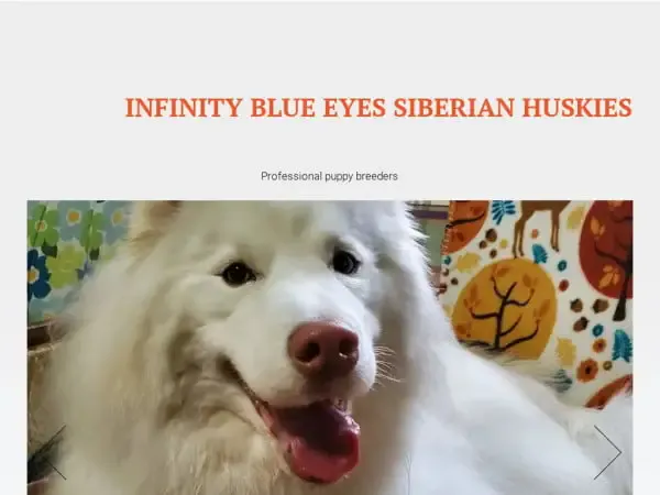 Screenshot of