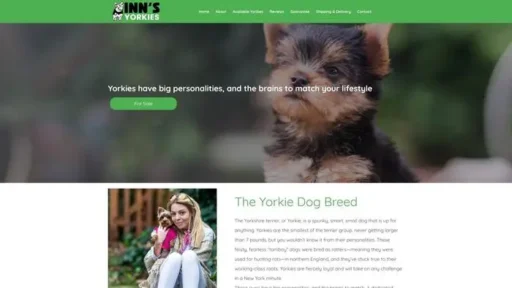 Screenshot of