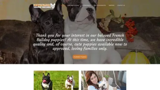 Screenshot of
