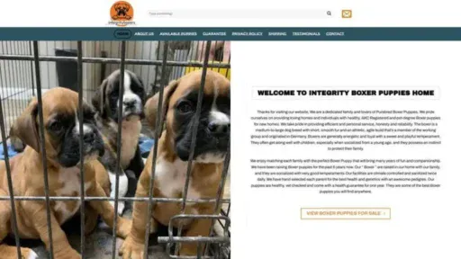 Screenshot of||