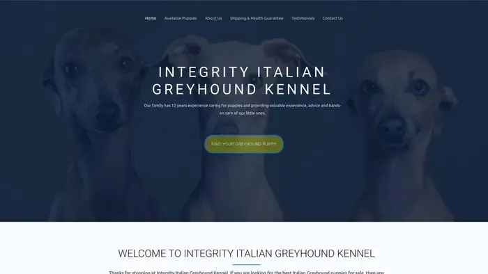 Screenshot of
