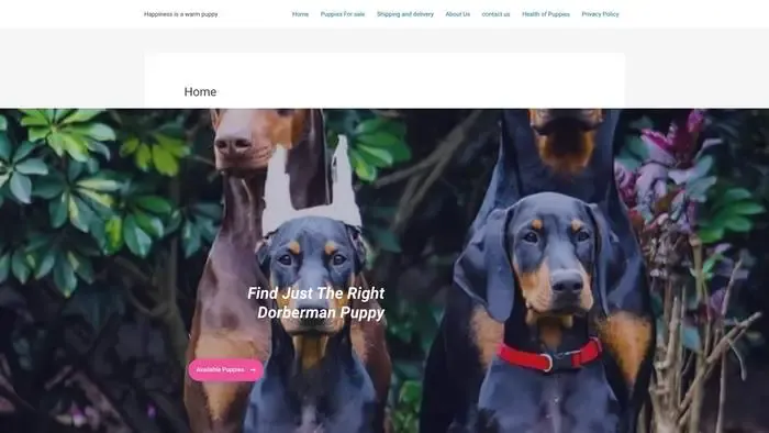 Screenshot of