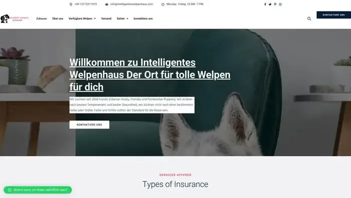 Screenshot of