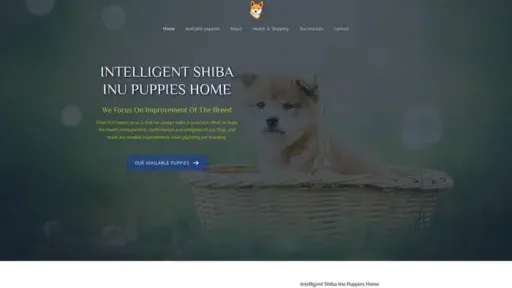 Screenshot of