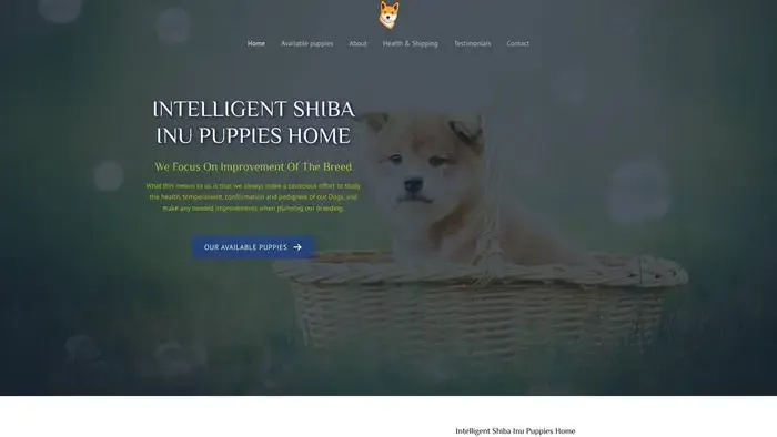 Screenshot of