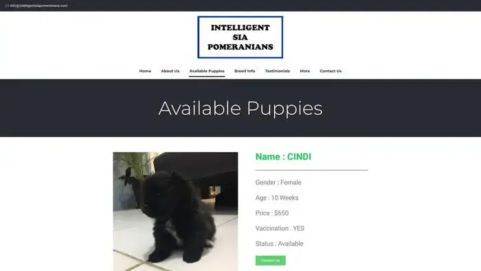 Screenshot of