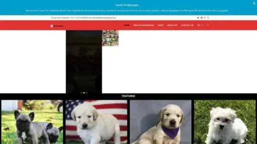 Screenshot of