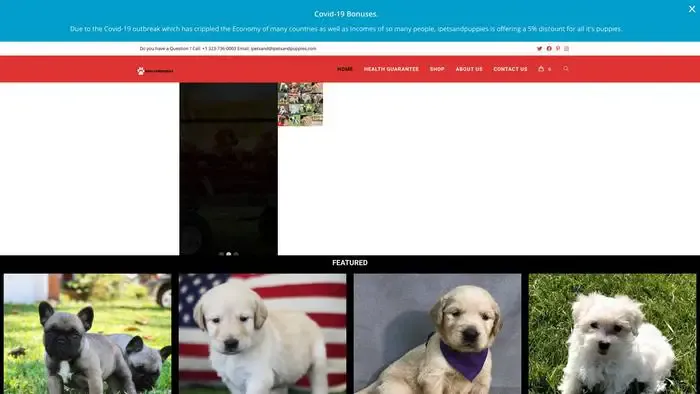 Screenshot of