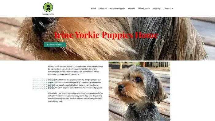 Screenshot of