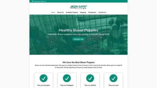 Screenshot of