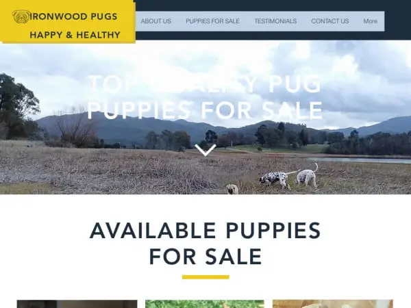 Screenshot of