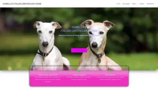 Screenshot of