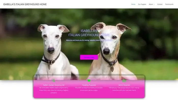 Screenshot of