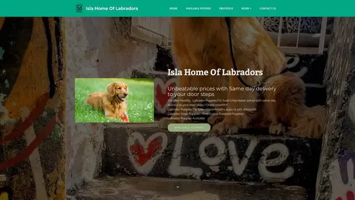 Screenshot of