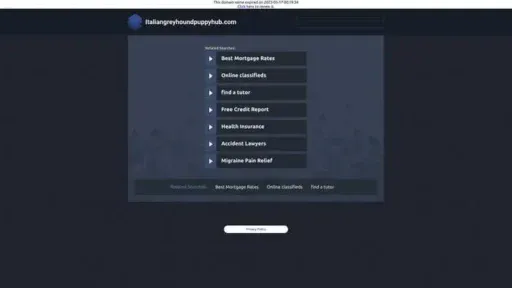 Screenshot of